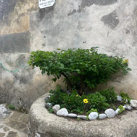 A Finistella * Camerota
